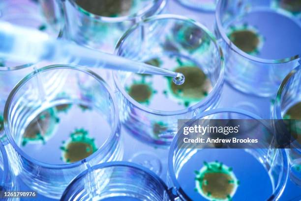 scientist pipetting a experimental vaccine into a multi well plate with the virus in the background. - infectious disease 個照片及圖片檔