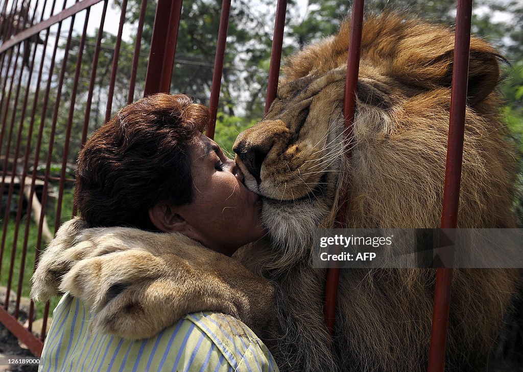 Ana Julia Torres kisses Jupiter, a lion