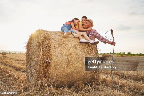 junge schwestern und enkelinnen umarmen ihren großvater auf einem heuhaufen auf dem feld - sense stock-fotos und bilder