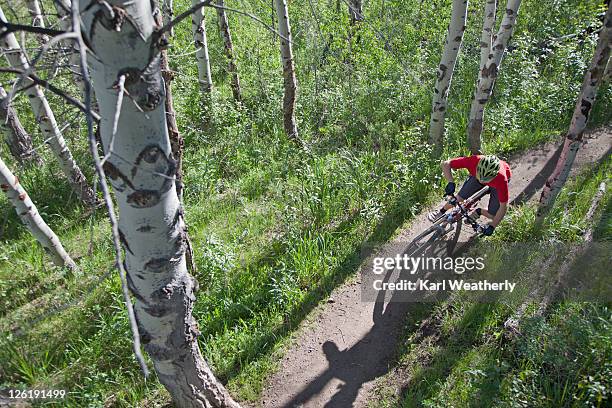 man mt biking - birch stock pictures, royalty-free photos & images