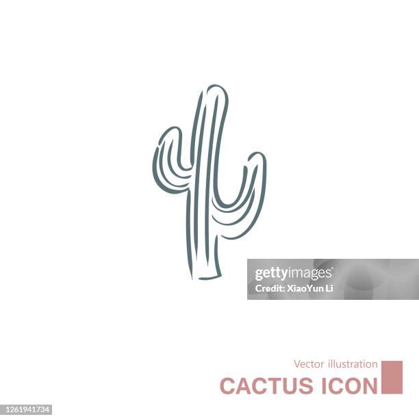 ilustraciones, imágenes clip art, dibujos animados e iconos de stock de cactus dibujado vectorialmente. - cacti logo