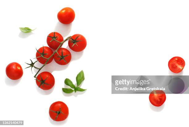 fresh tomatoes and basil - basil stock pictures, royalty-free photos & images