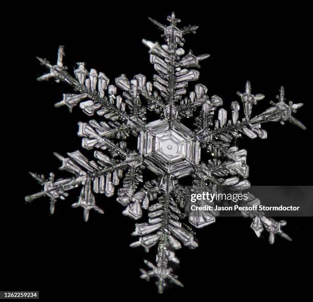 Snowflake Micro 170 Microscopic Snowflake Stock Photos, High-Res Pictures, and Images ...