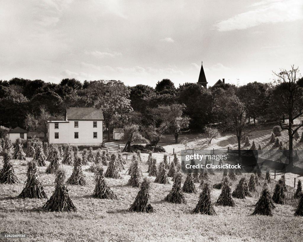 Autumn Farm Scene