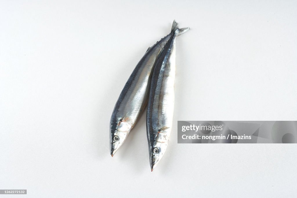 Mackerel Pike, Food Ingredient