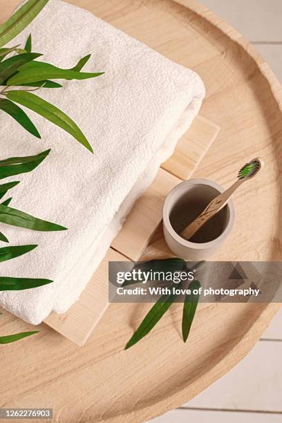 sustainable living, eco friendly natural bamboo brush, dental care brush, bamboo - bamboo material - fotografias e filmes do acervo