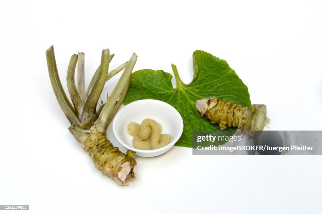 Wasabi roots and wasabi paste in bowl, Germany