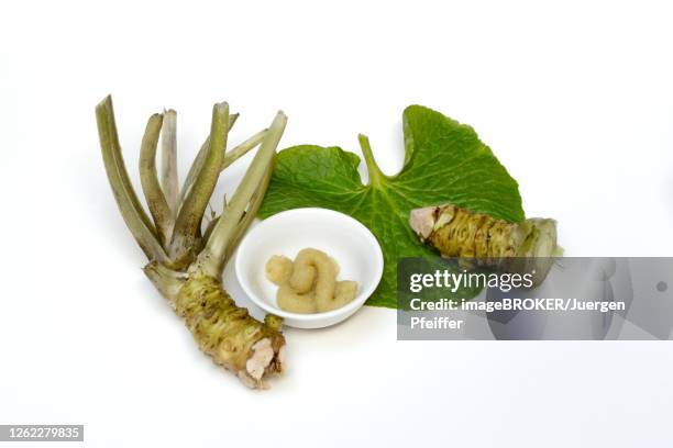 wasabi roots and wasabi paste in bowl, germany - wasabi stock pictures, royalty-free photos & images