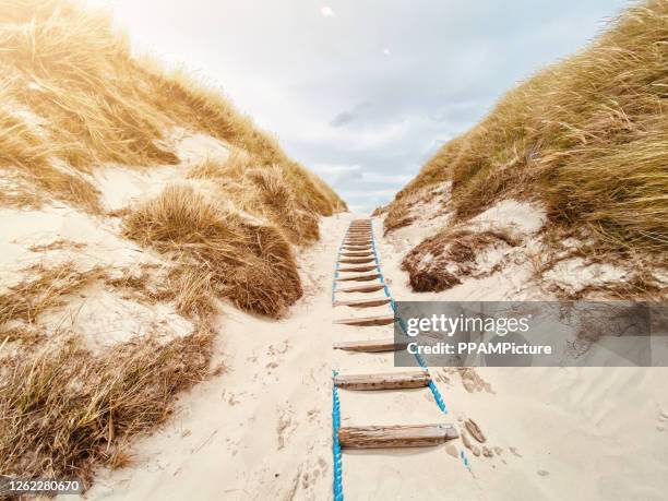dunes of sylt - wattenmeer national park stock pictures, royalty-free photos & images
