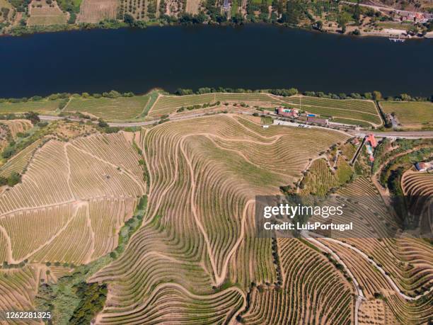 douro valley blick von oben - portwein stock-fotos und bilder