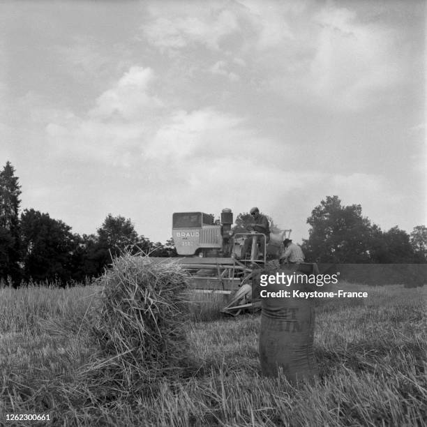 Une moissonneuse-batteuse-lieuse en action dans un champ, en France le 6 août 1964.