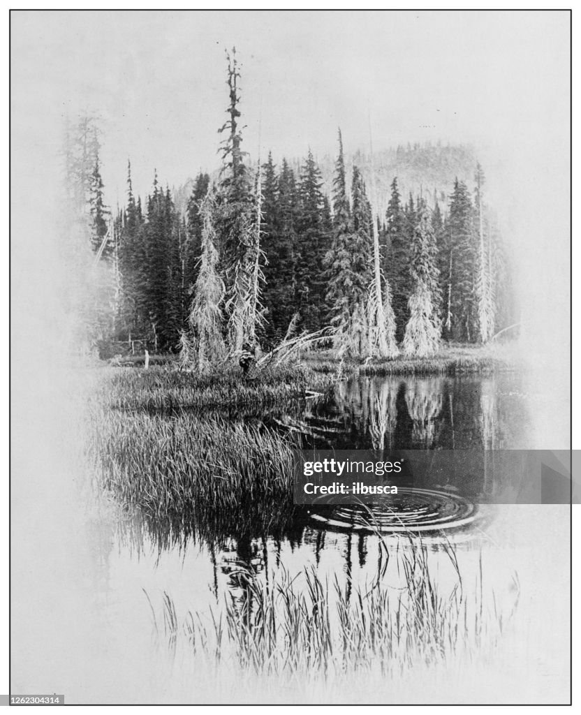 Antique black and white photo: Mirror Tarn, Oregon