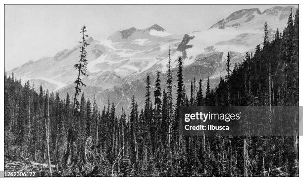 antique black and white photo: glacier of the asulkan - 19th century bc stock illustrations