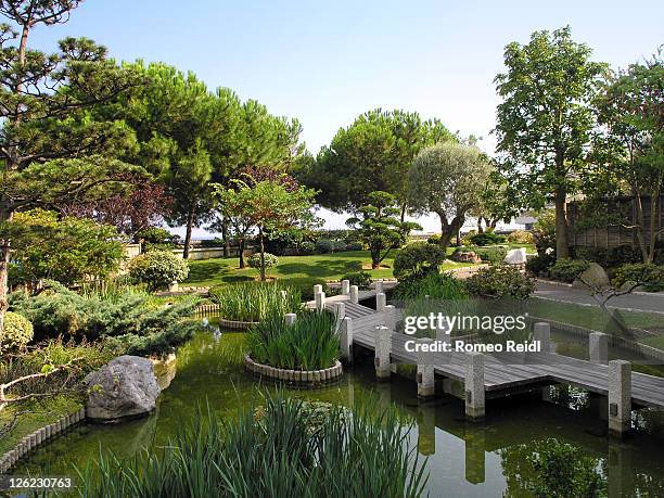 view of japanese garden - japanischer garten stock-fotos und bilder