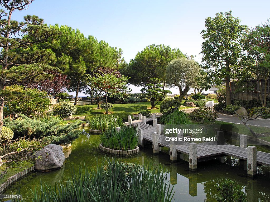 View of Japanese garden