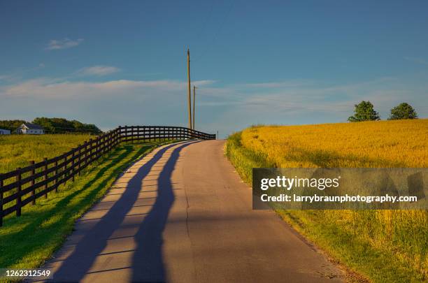 two scrawny poles - missouri stock pictures, royalty-free photos & images