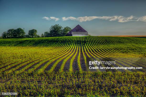 where the rows lead - missouri stock pictures, royalty-free photos & images