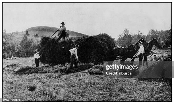 antique black and white photo: liberty, new york - new jersey stock illustrations