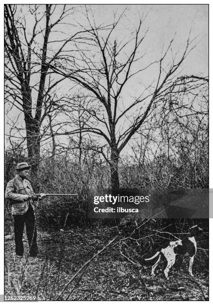 illustrazioni stock, clip art, cartoni animati e icone di tendenza di foto antica in bianco e nero: hunter - sport con animali