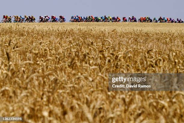 Peloton / Landscape / during the 42nd Vuelta a Burgos 2020, Stage 2 a 168km stage from Castrojeriz to Villadiego / #VueltaBurgos / on July 29, 2020...