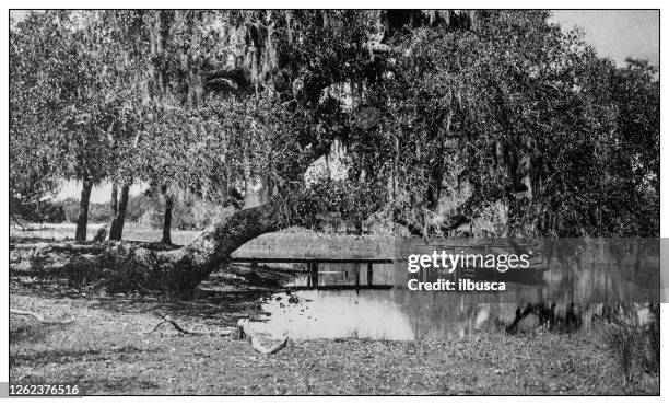 古董黑白照片:阿拉巴馬州移動環境。 - mobile alabama 幅插畫檔、美工圖案、卡通及圖標