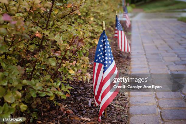 american flags in garden along walkway - flag day fotografías e imágenes de stock