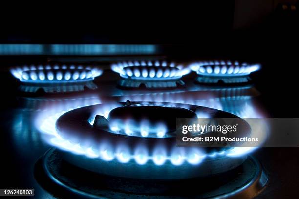 close up of a lit hob - gas ring stock pictures, royalty-free photos & images