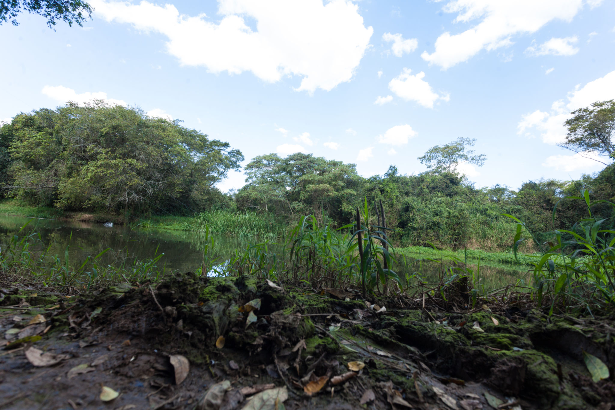 supatá naturaleza