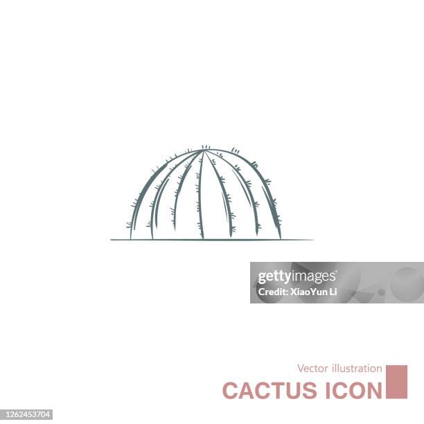 vector drawn cactus - agave stock illustrations