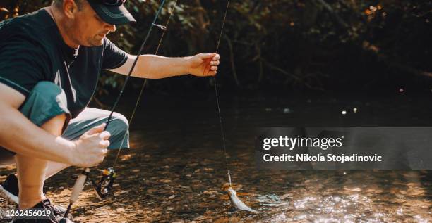 pesca alla trota - lenza foto e immagini stock