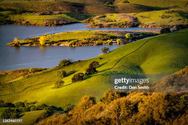 san justo reservoir in san benito county, california - pacific rim national park reserve stock pictures, royalty-free photos & images