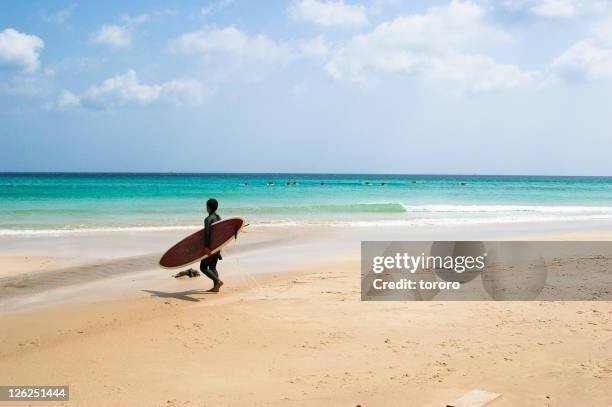 surfer walking on beach in spring, shimoda, japan - shirahama beach stockfoto's en -beelden