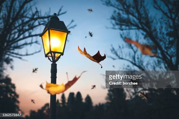 autumn time - street light stock pictures, royalty-free photos & images