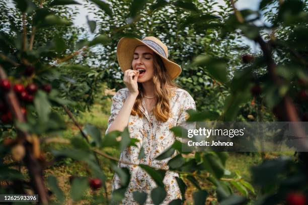 belle femme dans le verger - cerise photos et images de collection