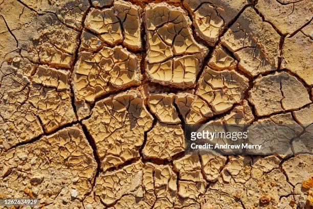 cracked, textured, dried out earth in desert after rain, outback australia - geërodeerd stockfoto's en -beelden
