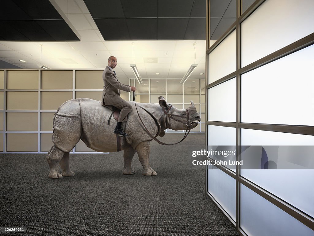 A Businessman Sits Astride A Rhinoceros In An Offi