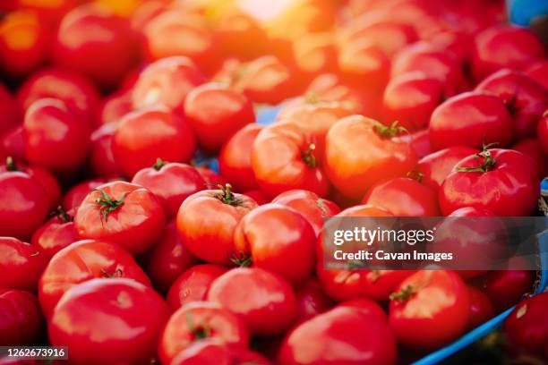 fresh tomatoes at farmers' market - acerola stockfoto's en -beelden