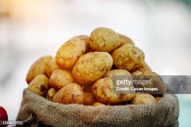 fresh potatoes at farmers' market - potatoes in a sack stock-fotos und bilder