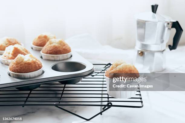 still life of home made muffins in muffin tray on cooling rack - forma de bolo imagens e fotografias de stock