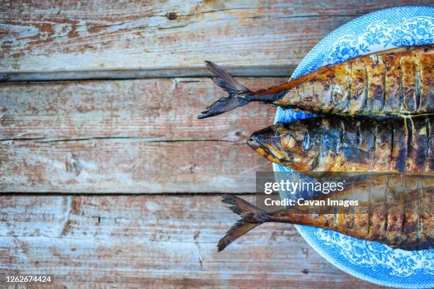 grilled mackerel on blue plate - arenque fotografías e imágenes de stock