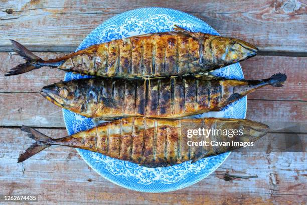 grilled mackerel on blue plate - fried seafood stock pictures, royalty-free photos & images