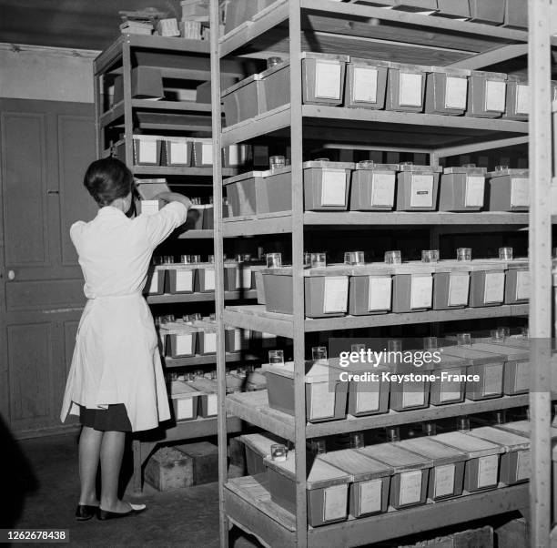 Pièce d'animalerie de l'Institut Curie rue d'Ulm à Paris, France le 31 janvier 1964.