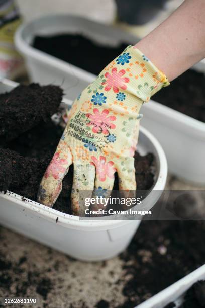 closeup of arm with colorful protective garden gloves. - hands holding flower pot stock pictures, royalty-free photos & images