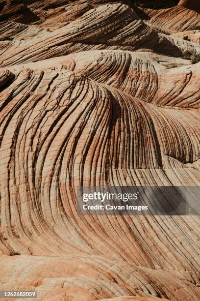waves of pattern on petrified red rock sand dunes in southern utah - the wave utah stock pictures, royalty-free photos & images