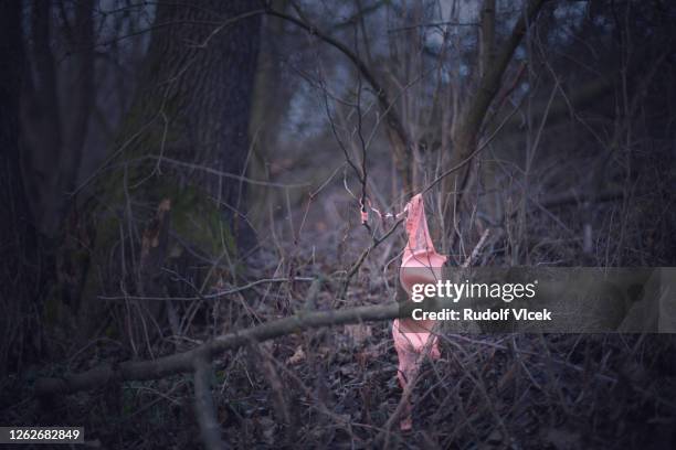 pink bra lost in the woods - bra stockfoto's en -beelden