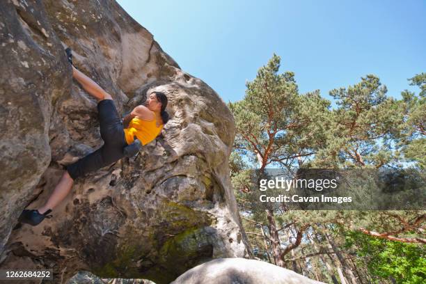 mature woman bouldering in the forest of fontainebleau close to paris - bedrock fotografías e imágenes de stock