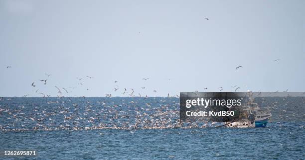 peschereccio al largo della costa francese - rete da pesca commerciale foto e immagini stock