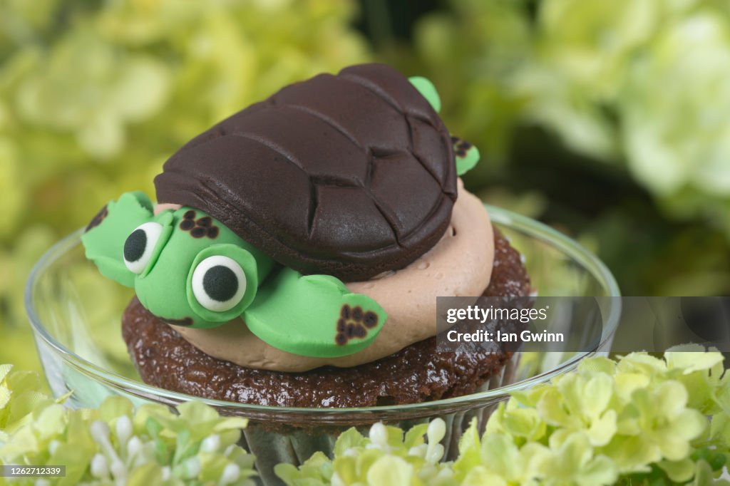 Turtle Cupcake