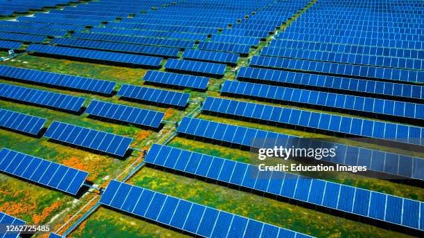 Aerial view of solar power plant with California Poppies growing between panels, outside of Lancaster area of Southern California.