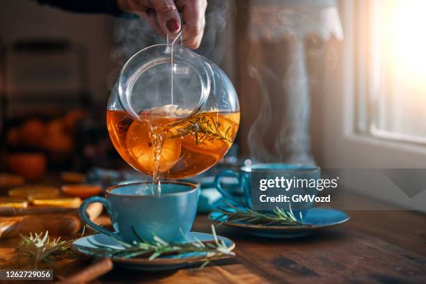 fruitthee met sinaasappels, kaneel en rozemarijn - levend organisme stockfoto's en -beelden